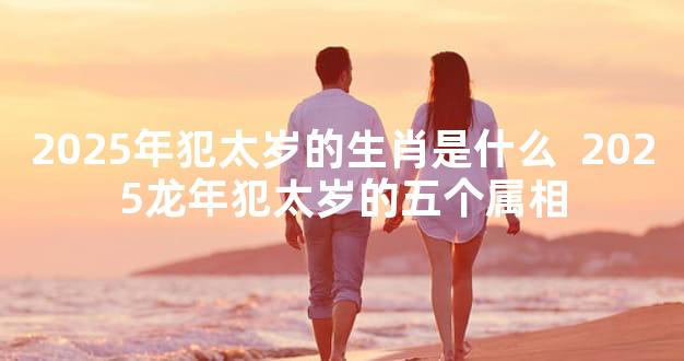 2025年犯太岁的生肖是什么  2025龙年犯太岁的五个属相